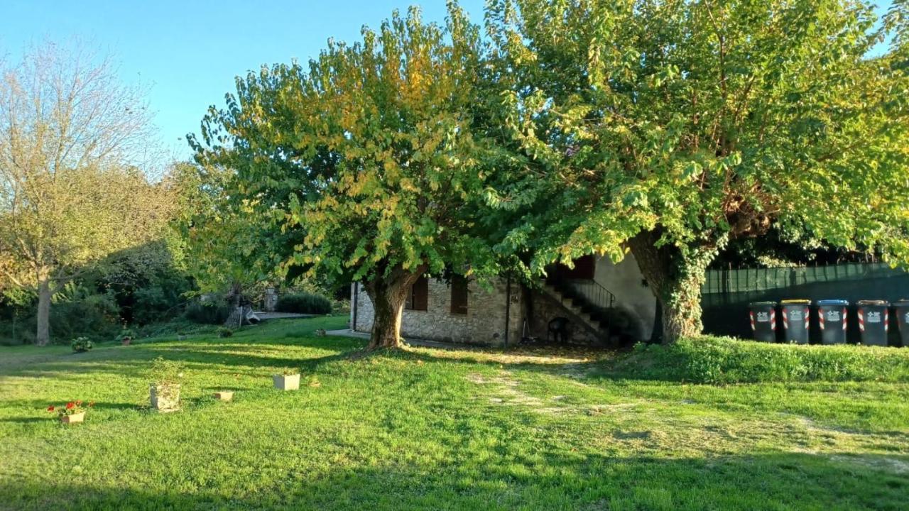 Agriturismo Canonici Amelia Kültér fotó